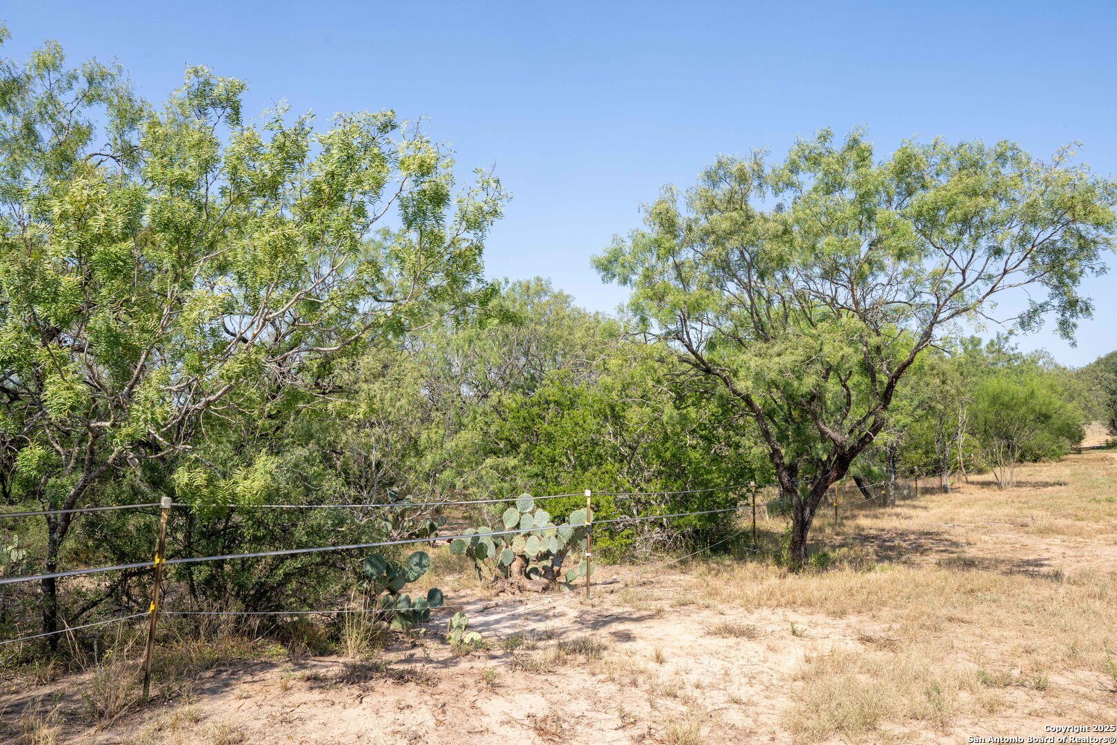 3285 Pittman Road St. Hedwig, TX 78152 - Photo 12 of 20