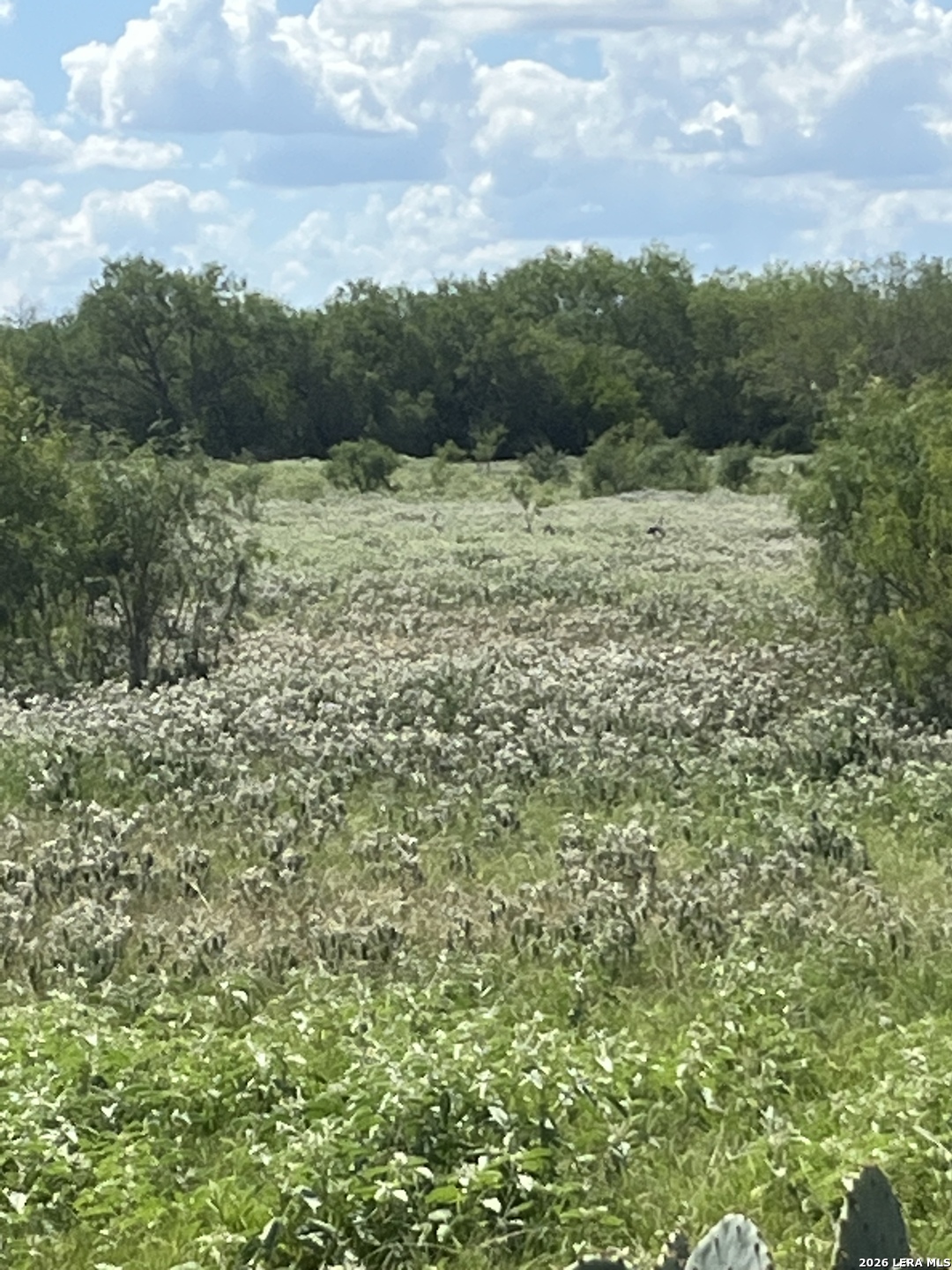3285 Pittman Road St. Hedwig, TX 78152 - Photo 14 of 20