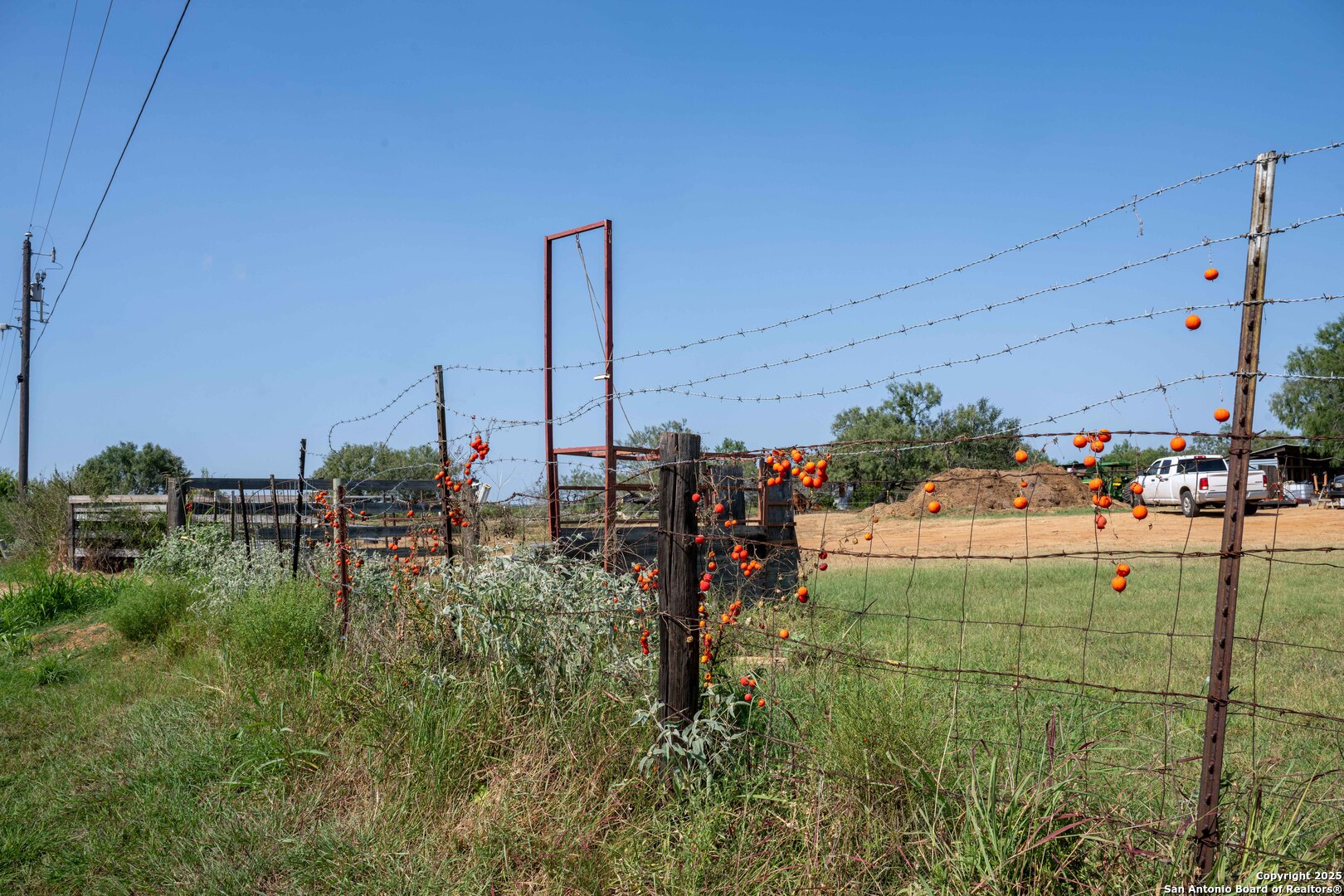 3285 Pittman Road St. Hedwig, TX 78152 - Photo 3 of 20