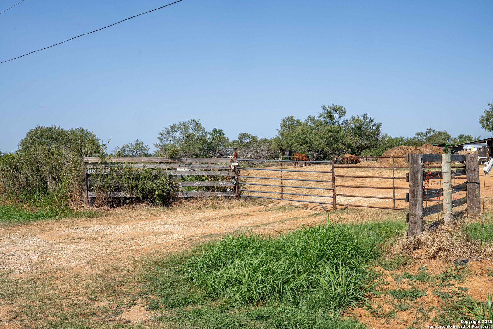 3285 Pittman Road St. Hedwig, TX 78152 - Photo 4 of 15 a view of a road with plants and trees in the background