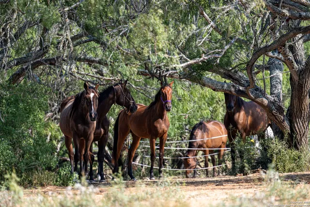 a view of a lake view with plants and trees