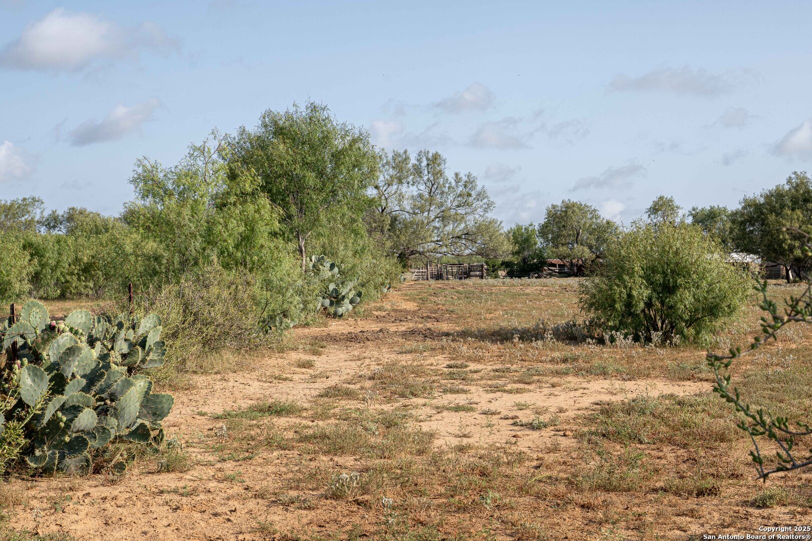 3285 Pittman Road St. Hedwig, TX 78152 - Photo 10 of 15 a view of a lake view with plants and trees