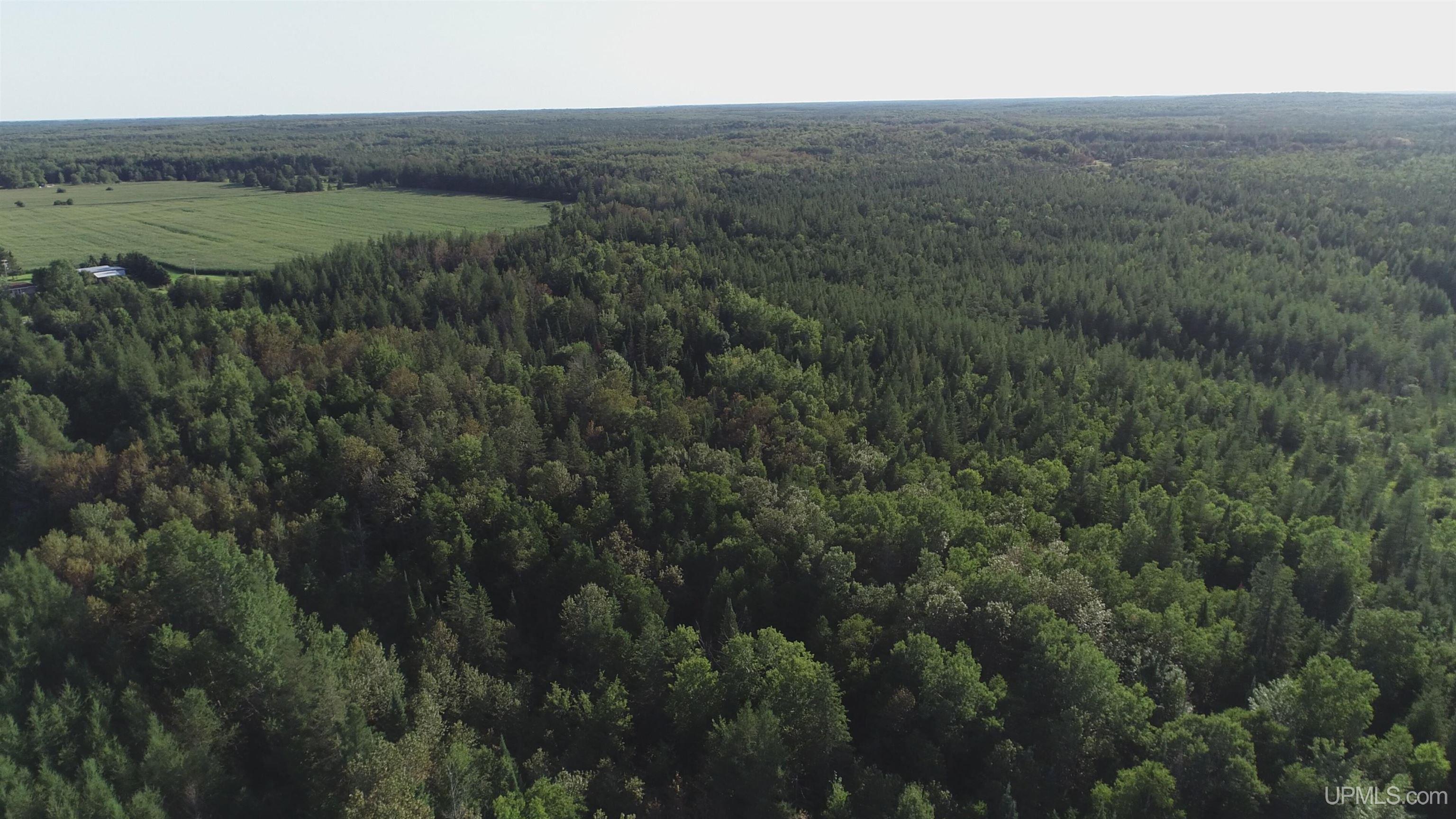332-acres River Road Gulliver, MI 49840 - Photo 12 of 14