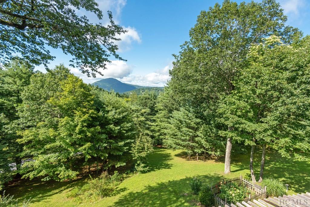 1695 Big Sheepcliff Road Cashiers, NC 28717 - Photo 52 of 74 Gallery Image 52