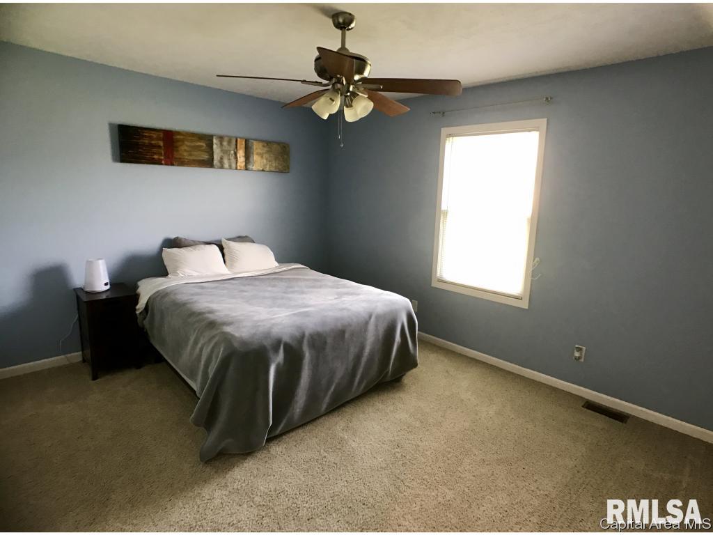4803 Savoy Drive Springfield, IL 62711 - Photo 10 of 20 Gallery Image 10