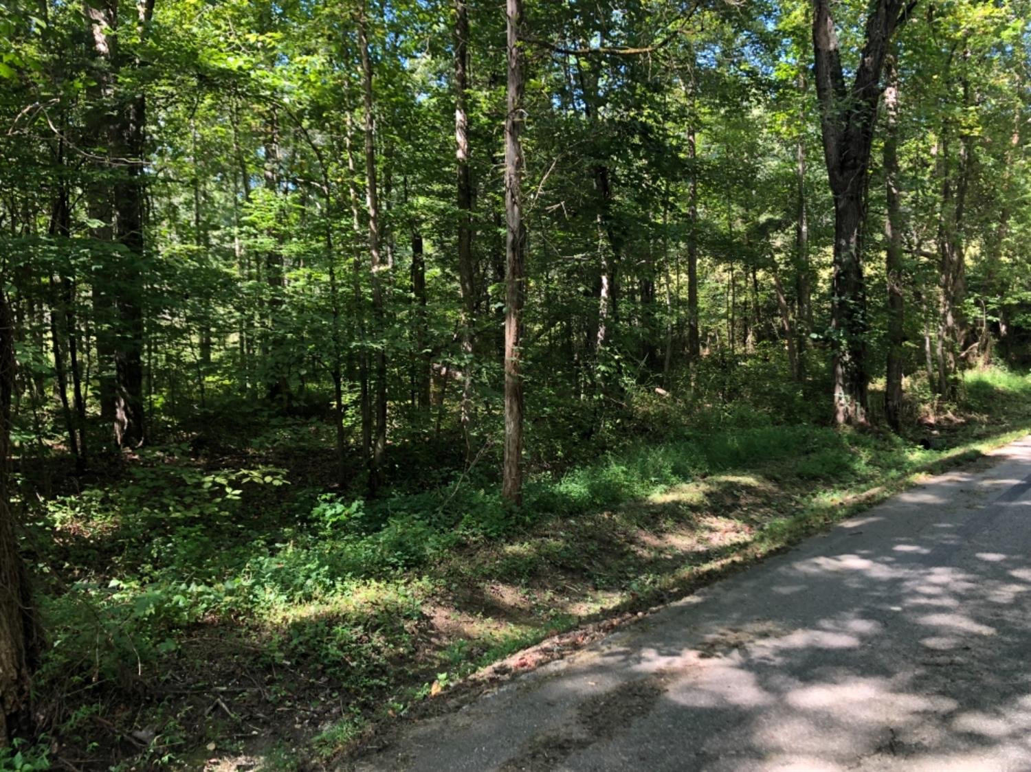 2211 Lower Licking Road Morehead, KY 40351 - Photo 13 of 18 Photo 13