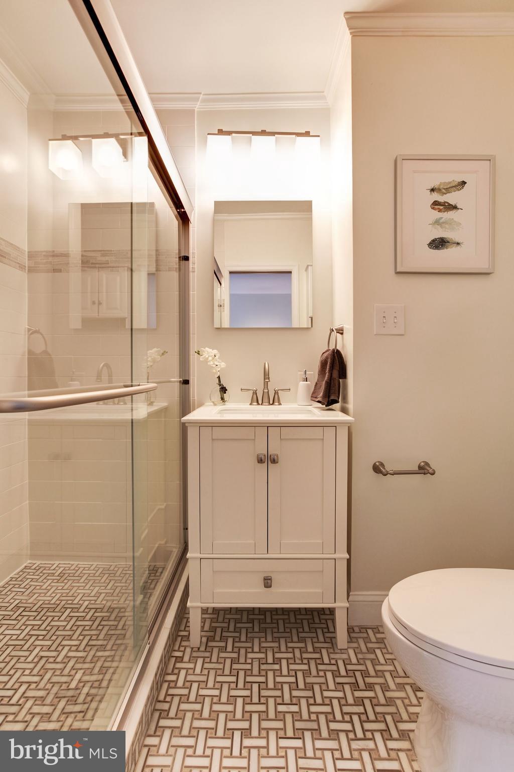 3523 S Street Northwest Washington, DC 20007 - Photo 6 of 15 a bathroom with a sink a toilet and a mirror