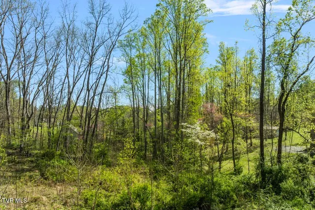 $27,500 | 310 Mitchell Court, Unit 21, Jonesborough, TN 37659