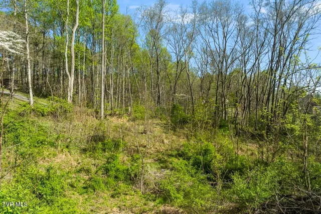 $27,500 | 310 Mitchell Court, Unit 21, Jonesborough, TN 37659