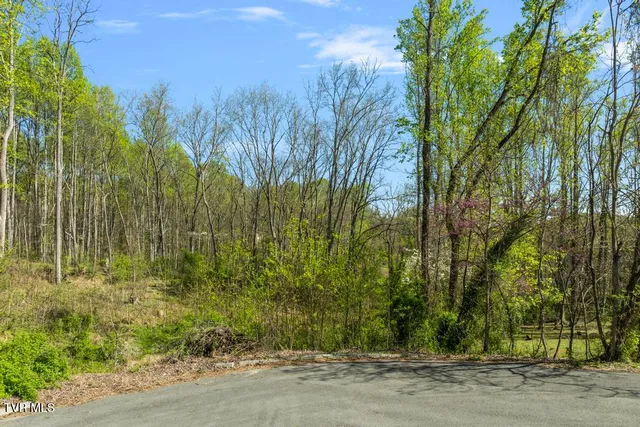 $27,500 | 310 Mitchell Court, Unit 21, Jonesborough, TN 37659