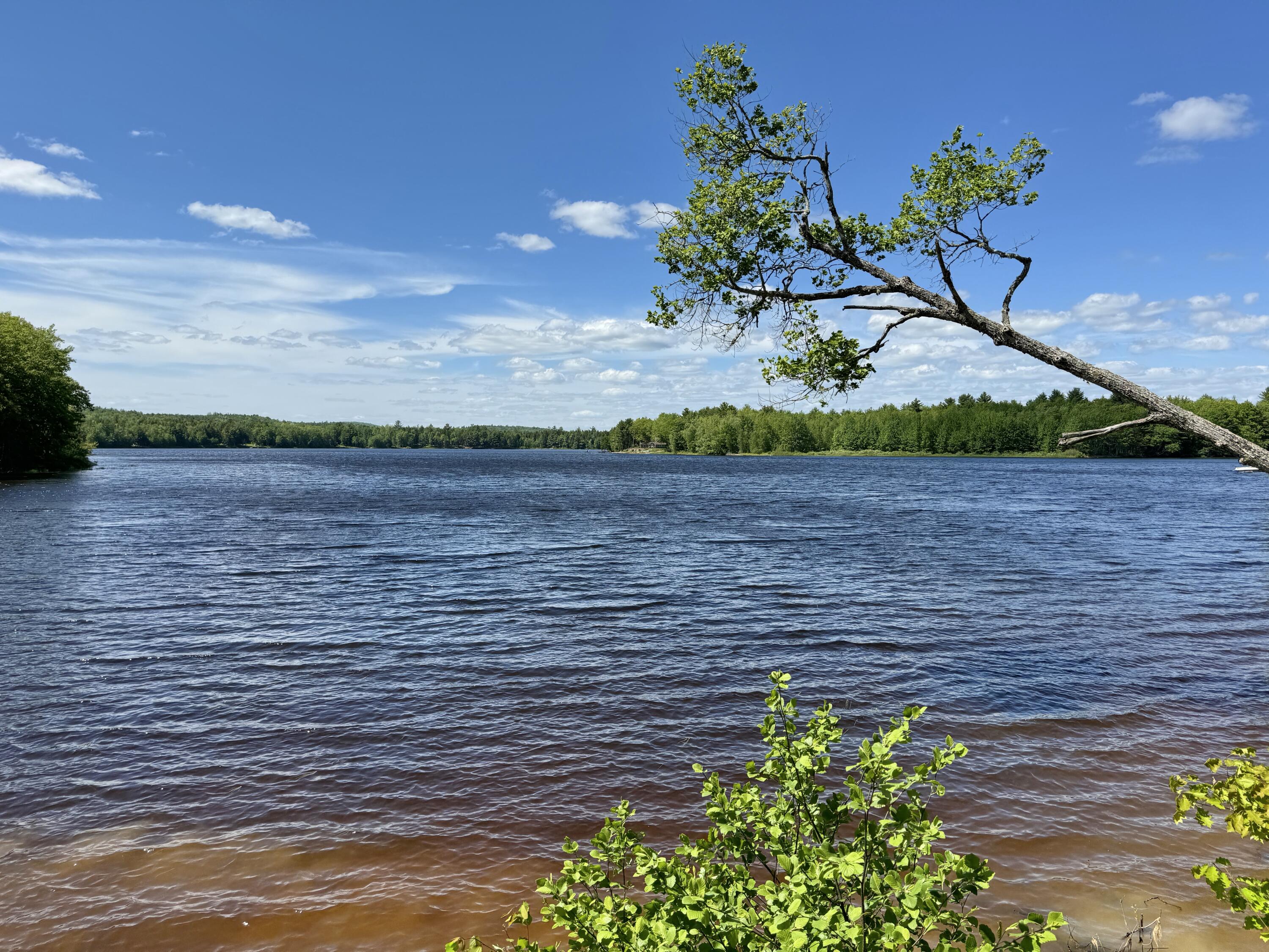 328 Morrison Farm Road Ellsworth, ME 04605 - Photo 5 of 26 20240529_183445828_iOS