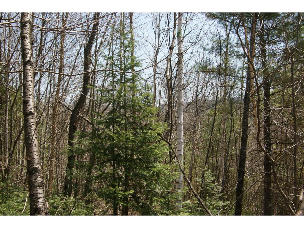 Easton Road Sugar Hill, NH 03586 - Photo 5 of 7 Gallery Image 5