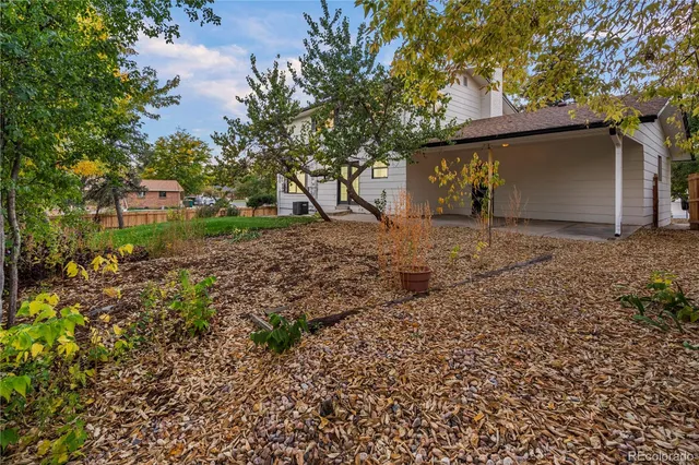 a view of a yard with a tree