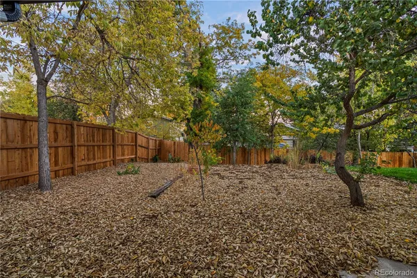 a view of a yard with a tree