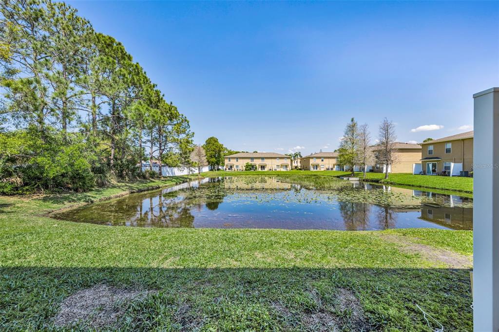 8015 Savannah Sunset Lane Tampa, FL 33615 - Photo 2 of 35 a view of a big yard with a large trees