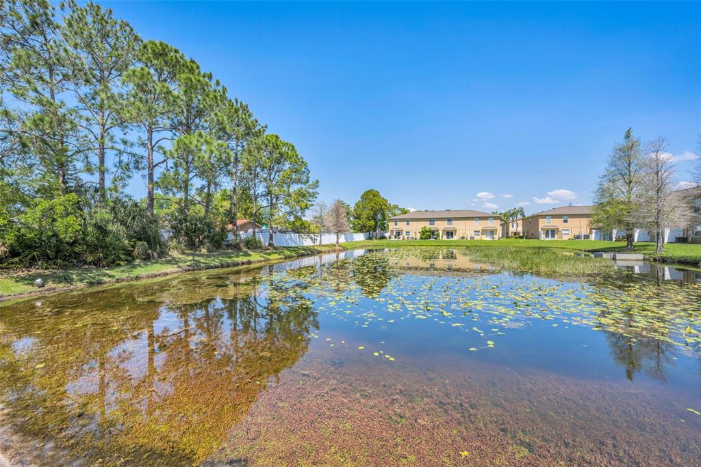8015 Savannah Sunset Lane Tampa, FL 33615 - Photo 29 of 35 a view of a lake with houses