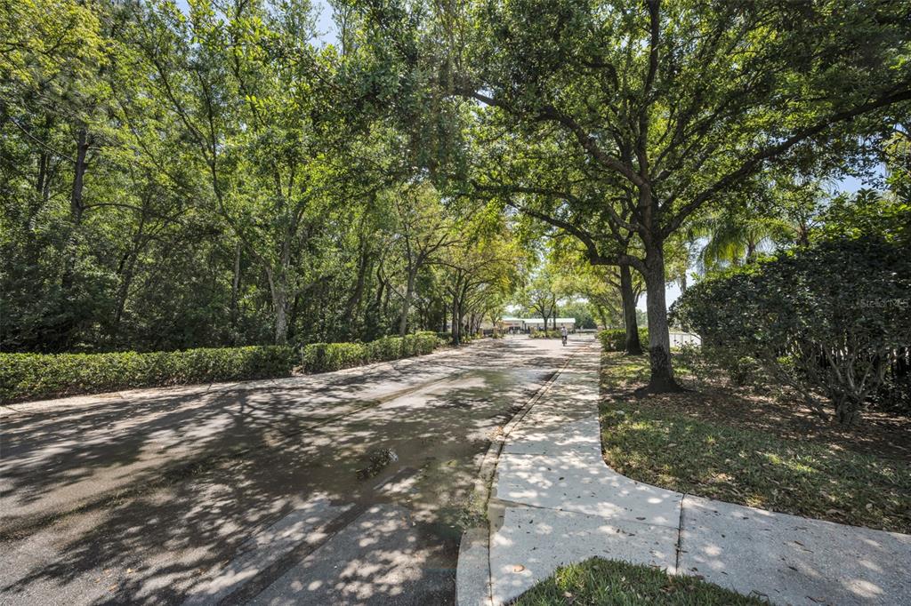 8015 Savannah Sunset Lane Tampa, FL 33615 - Photo 33 of 35 a view of a yard with plants and trees