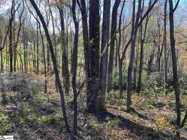 $59,900 | The Cliffs Parkway, Landrum, SC 29356