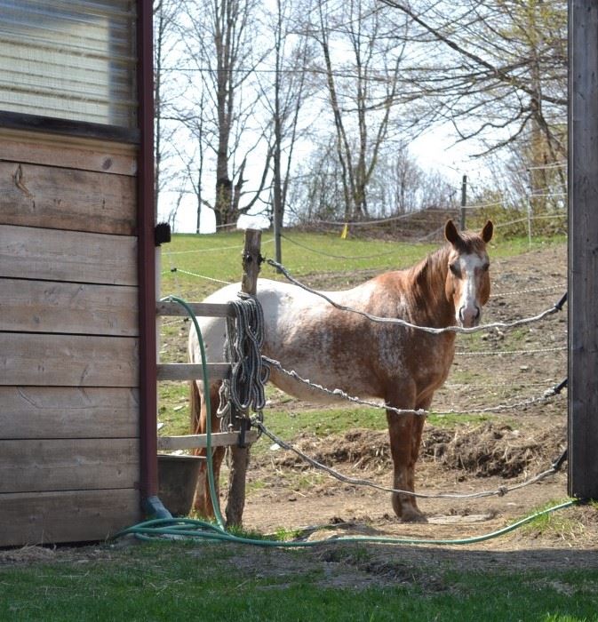 8598 County Road Calais, VT 05640 - Photo 33 of 38