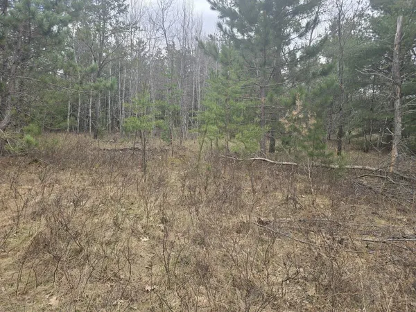 $310,000 | 141 Hwy Niagara Wi 54151, Niagara, WI 54151