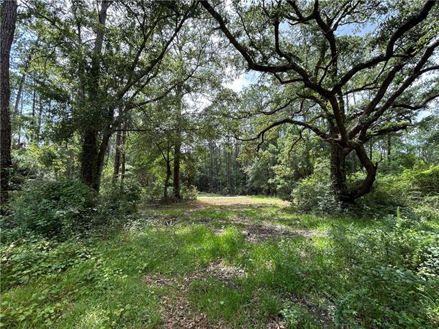 60017 South Tranquility Road Lacombe, LA 70445 - Photo 5 of 6