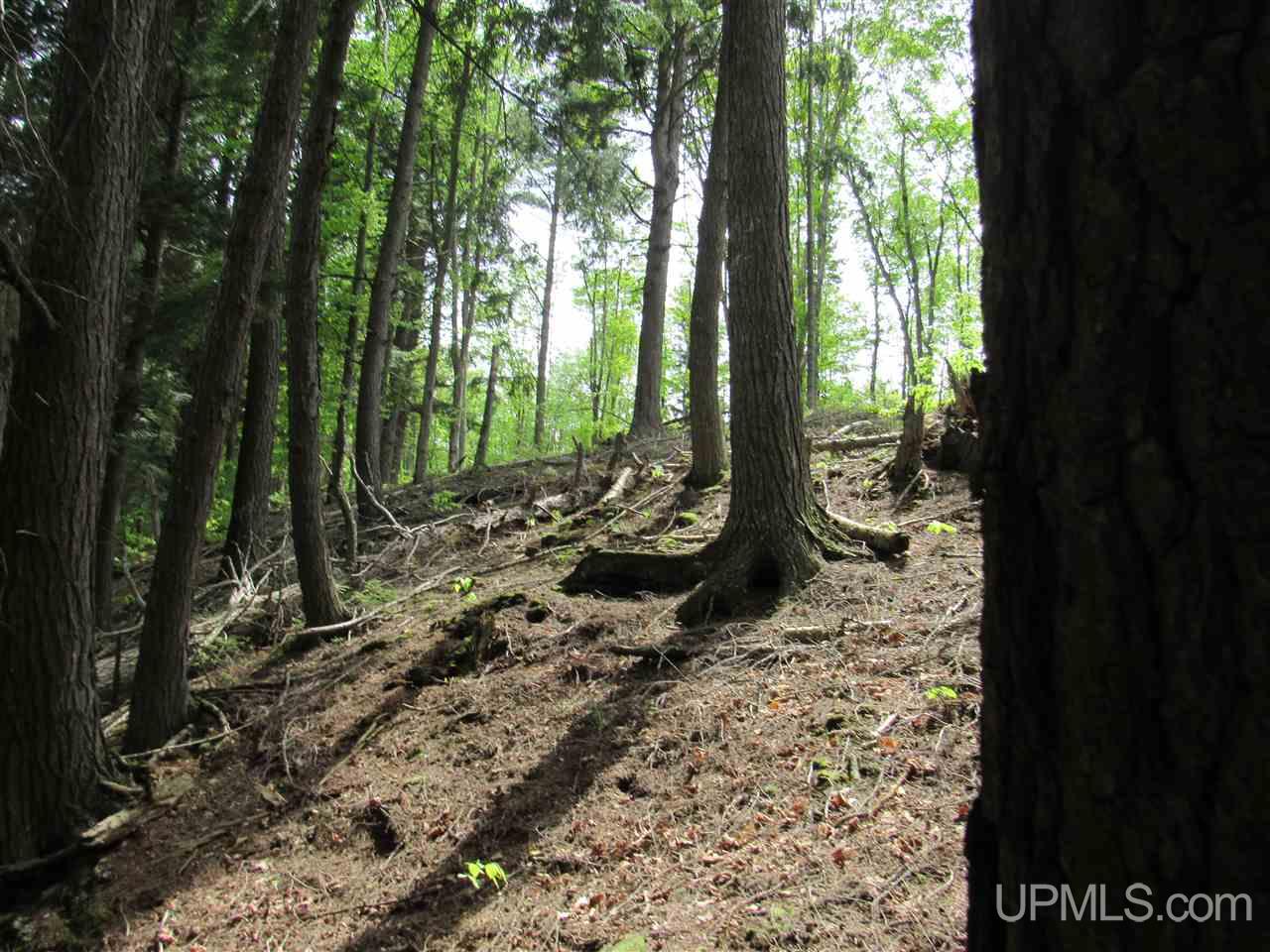 Tbd Co Rd 442, Unit 4 Rapid River, MI 49878 - Photo 4 of 10