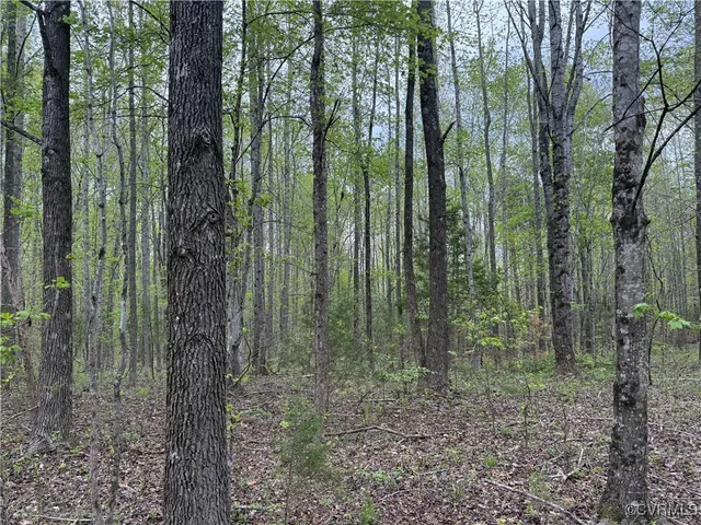 $154,500 | 0 South Constitution Route, Dillwyn, VA 23936