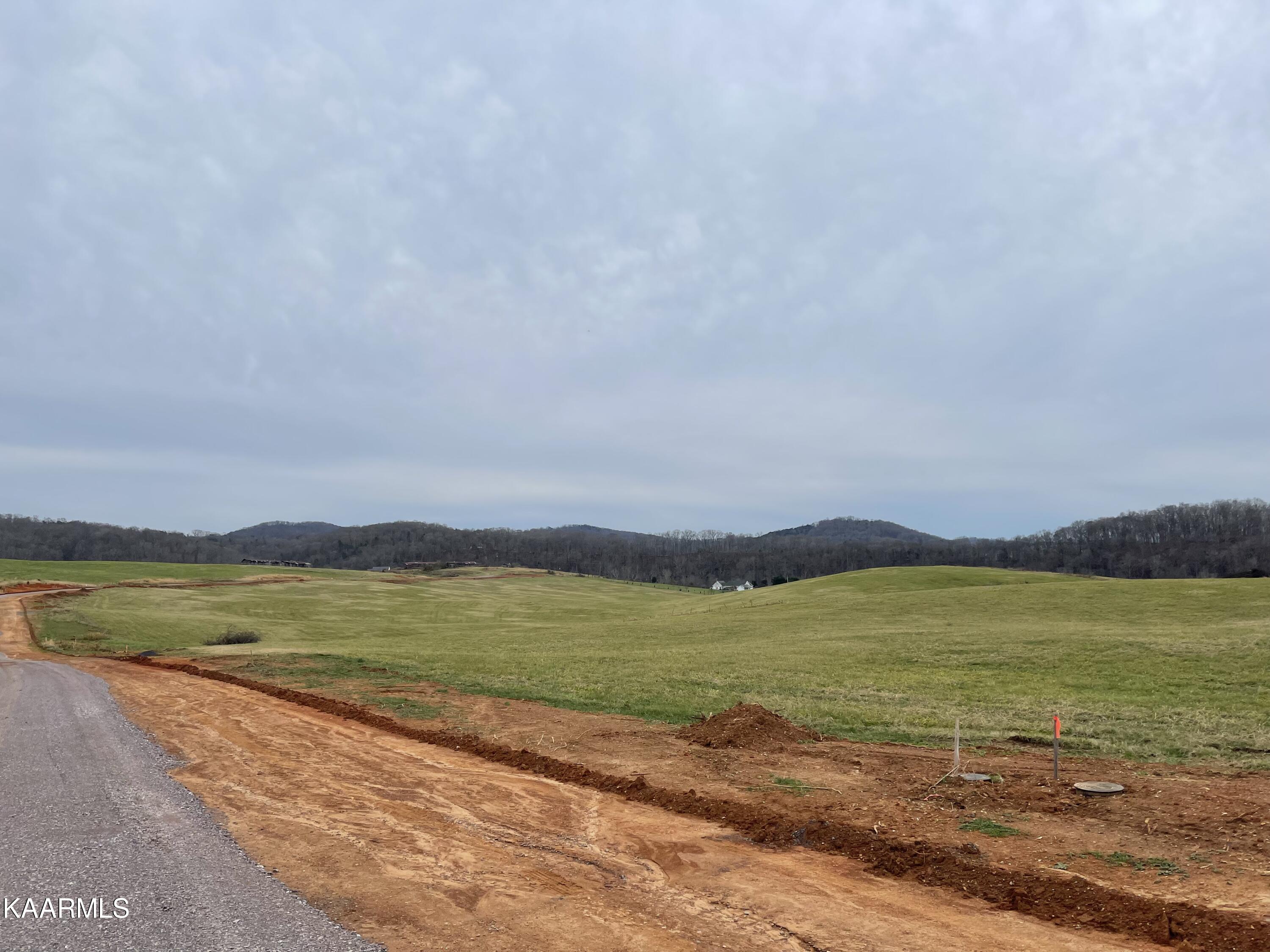Lot 304 Howell River Road Rutledge, TN 37861 - Photo 1 of 1 IMG_4109