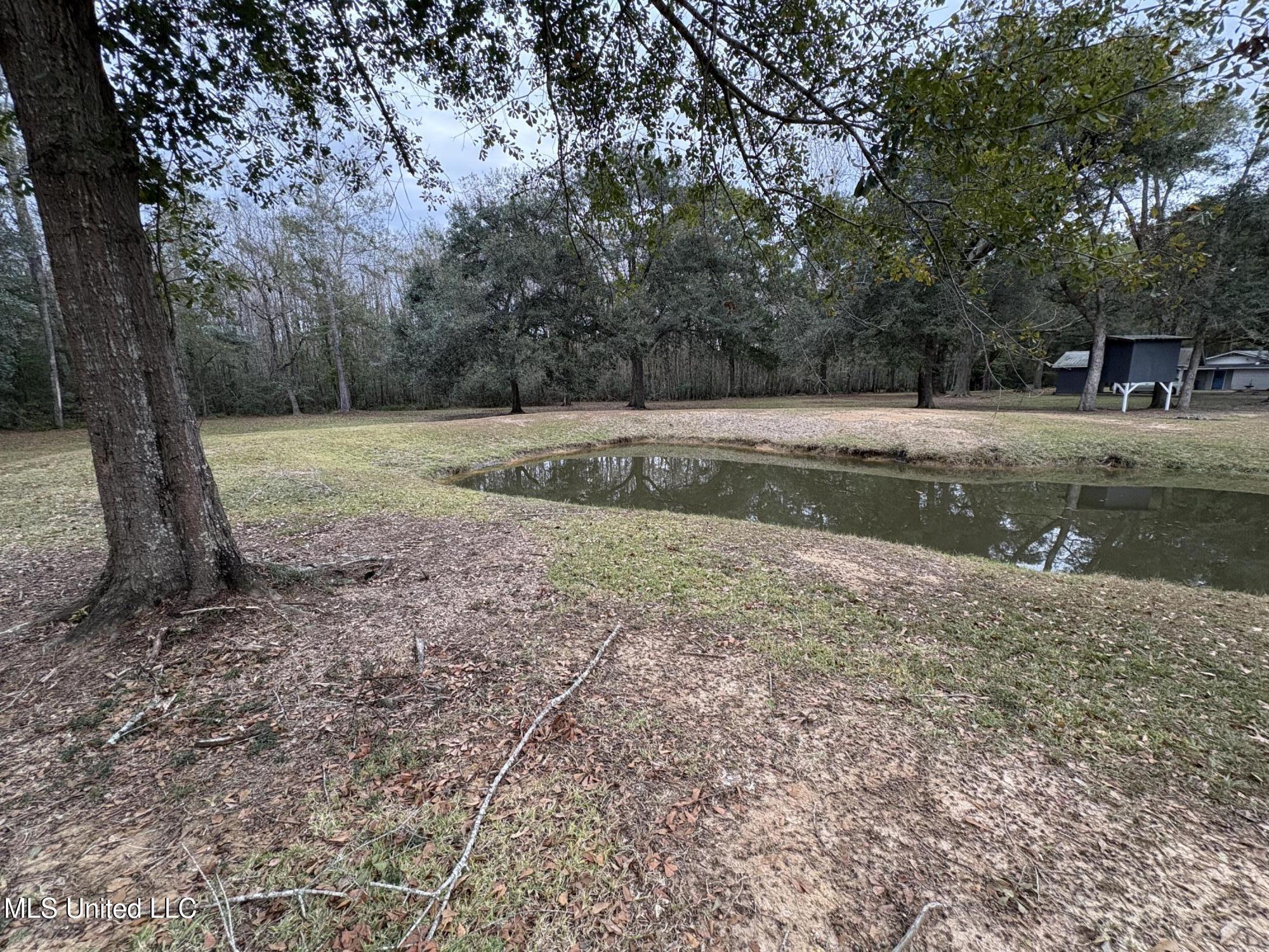 5809 Kings Road Moss Point, MS 39563 - Photo 7 of 27 IMG_2936