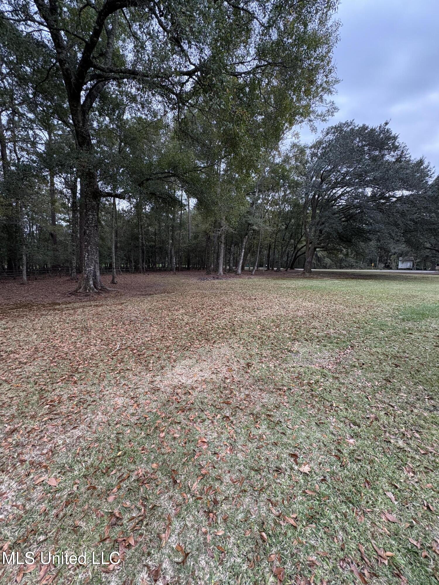 5809 Kings Road Moss Point, MS 39563 - Photo 8 of 27 IMG_2916