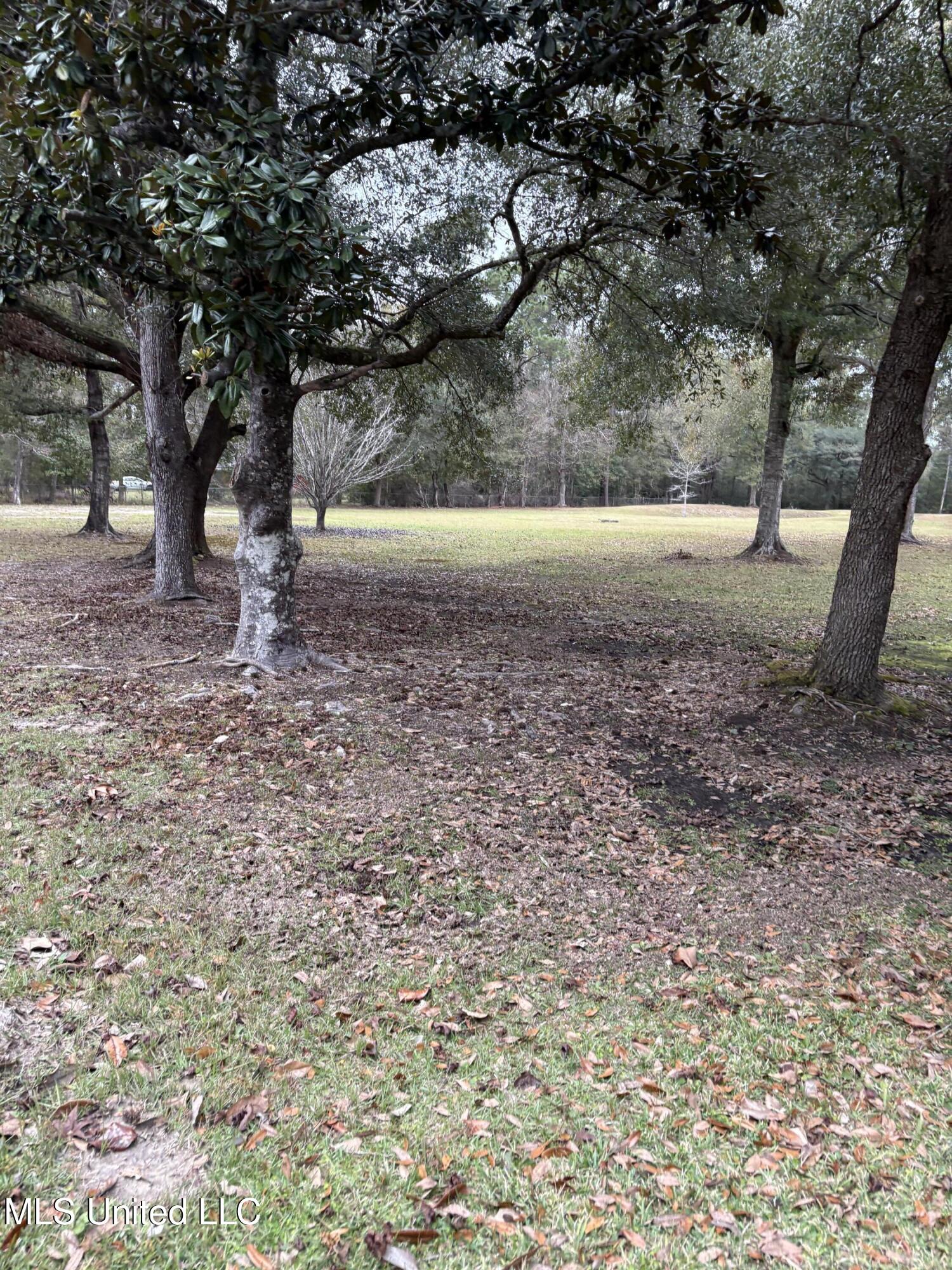 5809 Kings Road Moss Point, MS 39563 - Photo 9 of 27 IMG_2930