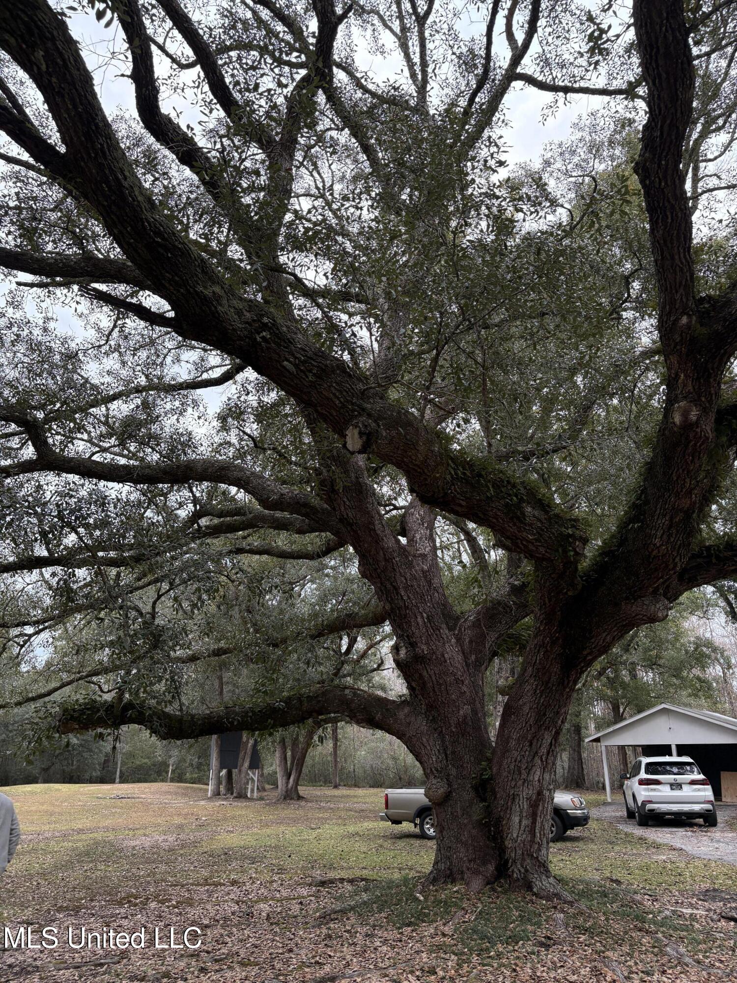 5809 Kings Road Moss Point, MS 39563 - Photo 10 of 27 IMG_2931