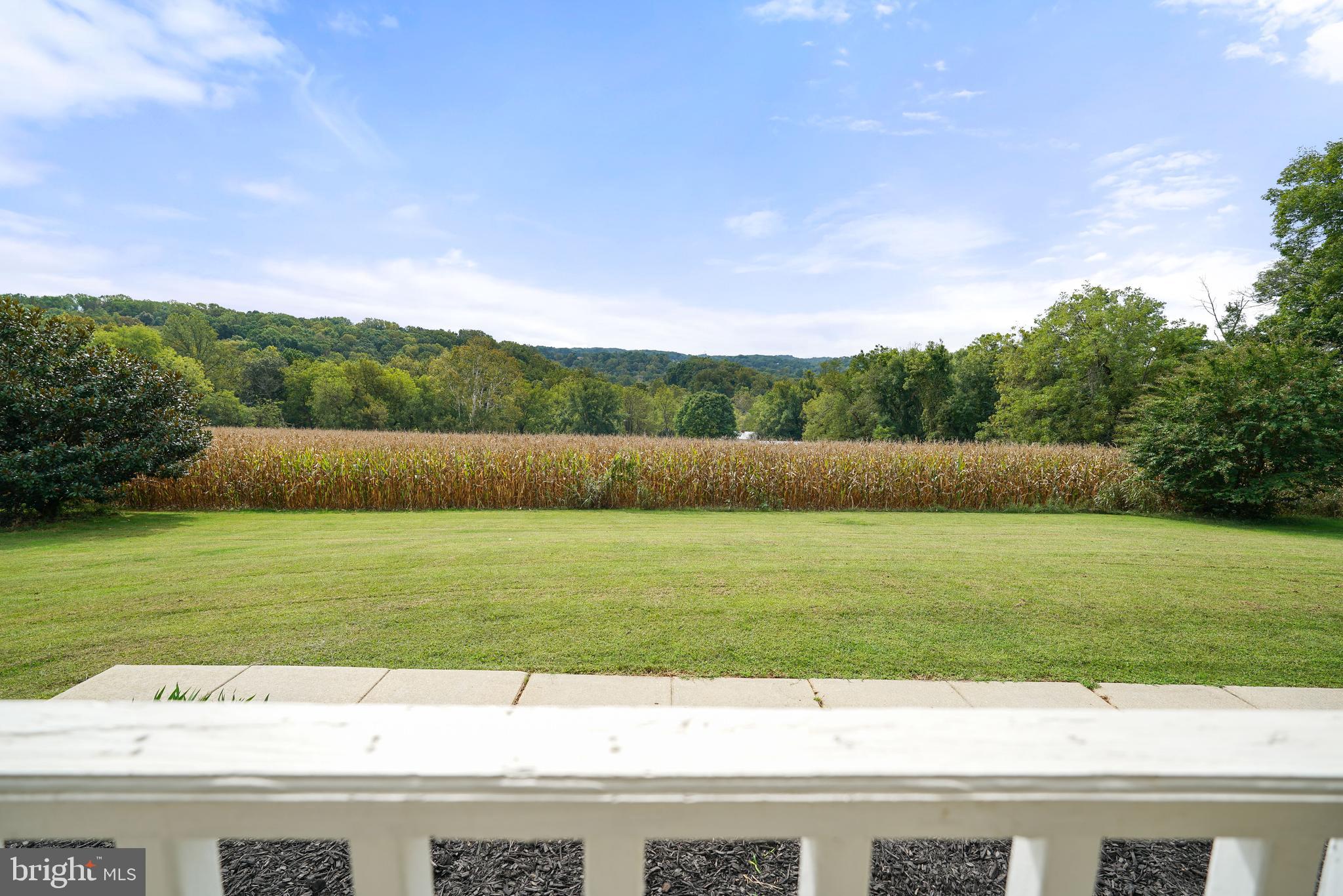 424 Springhill Road Rising Sun, MD 21911 - Photo 16 of 42 a view of grassy field with mountain