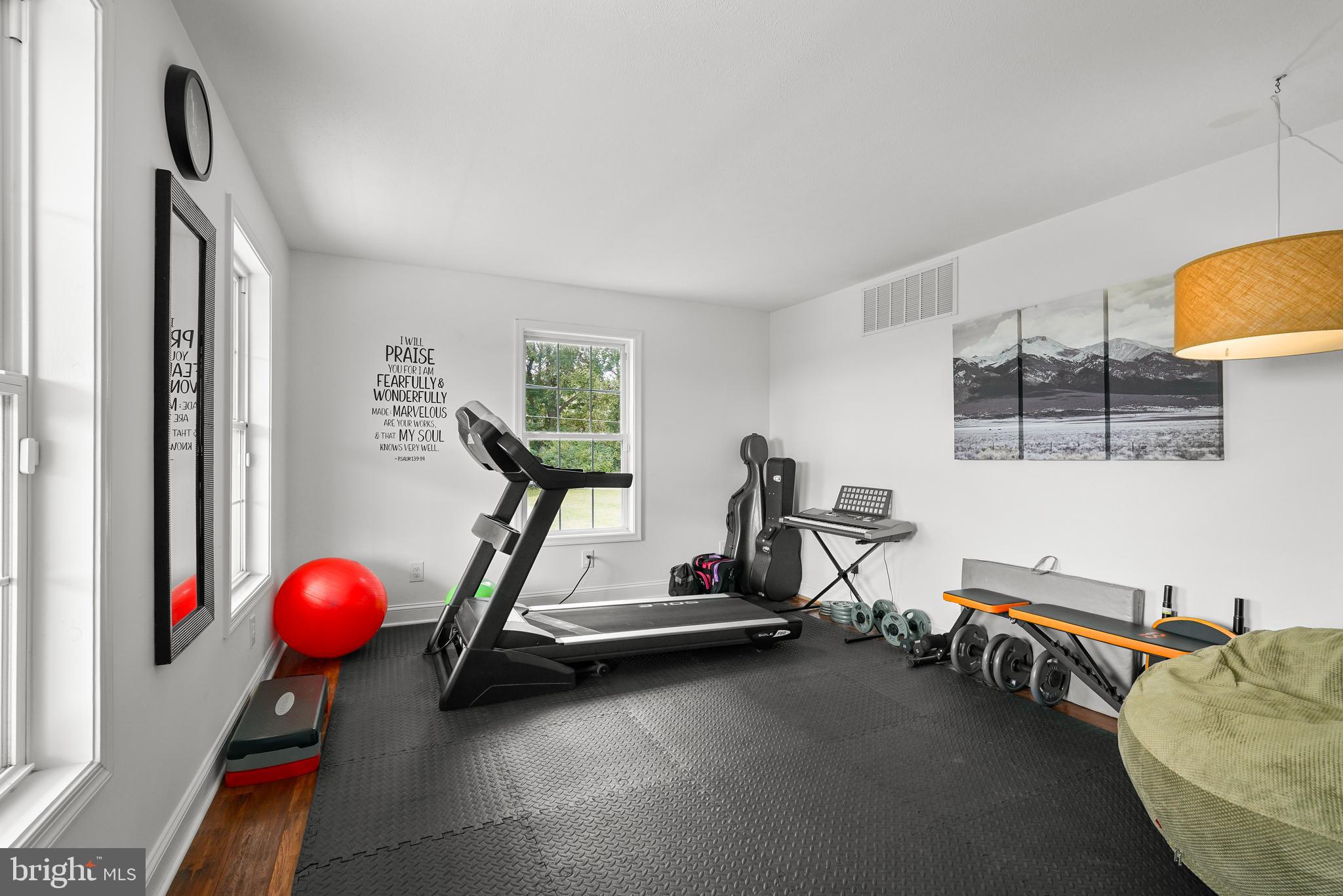 424 Springhill Road Rising Sun, MD 21911 - Photo 19 of 42 a room with gym equipment