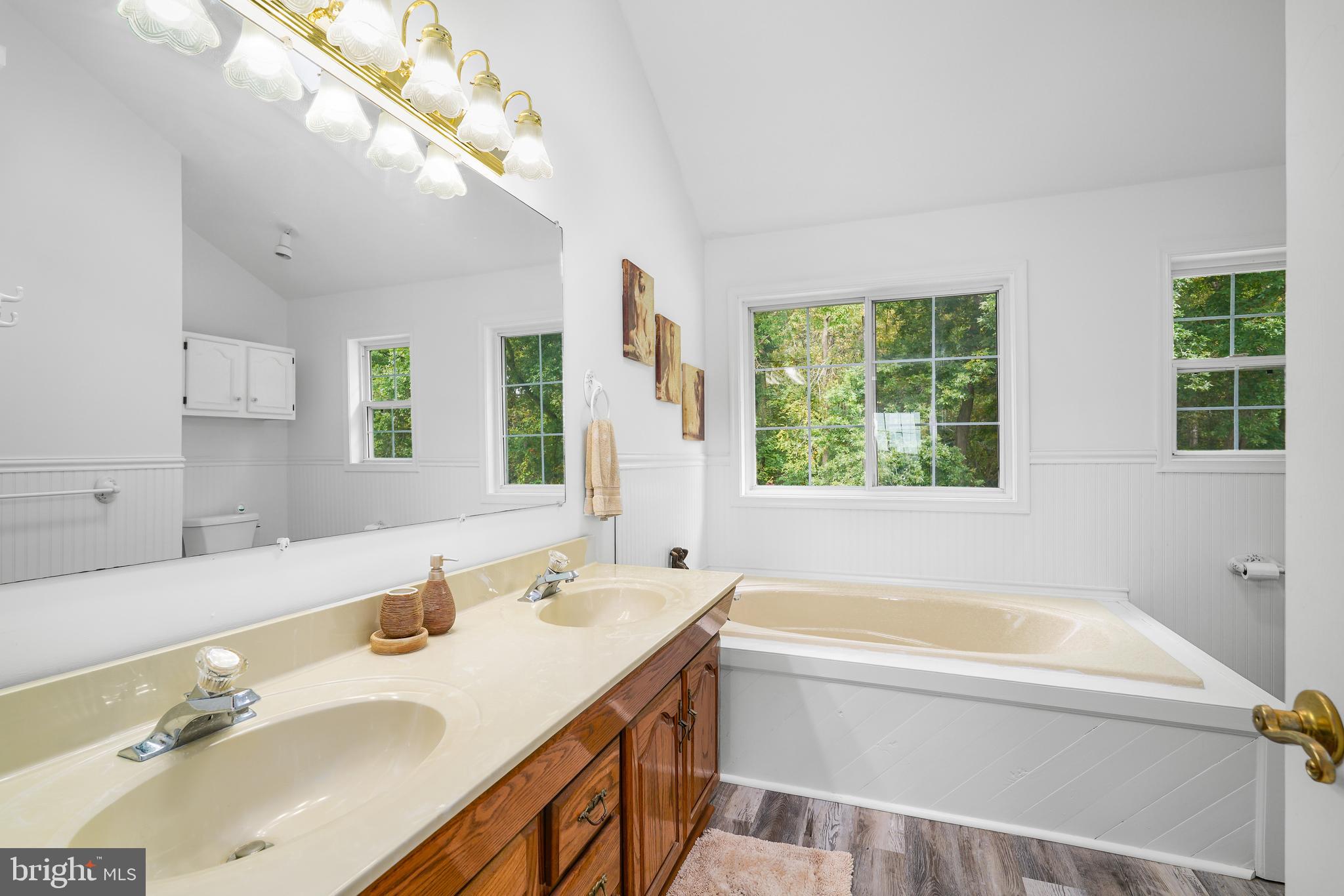 424 Springhill Road Rising Sun, MD 21911 - Photo 39 of 42 a bathroom with a tub sink and mirror