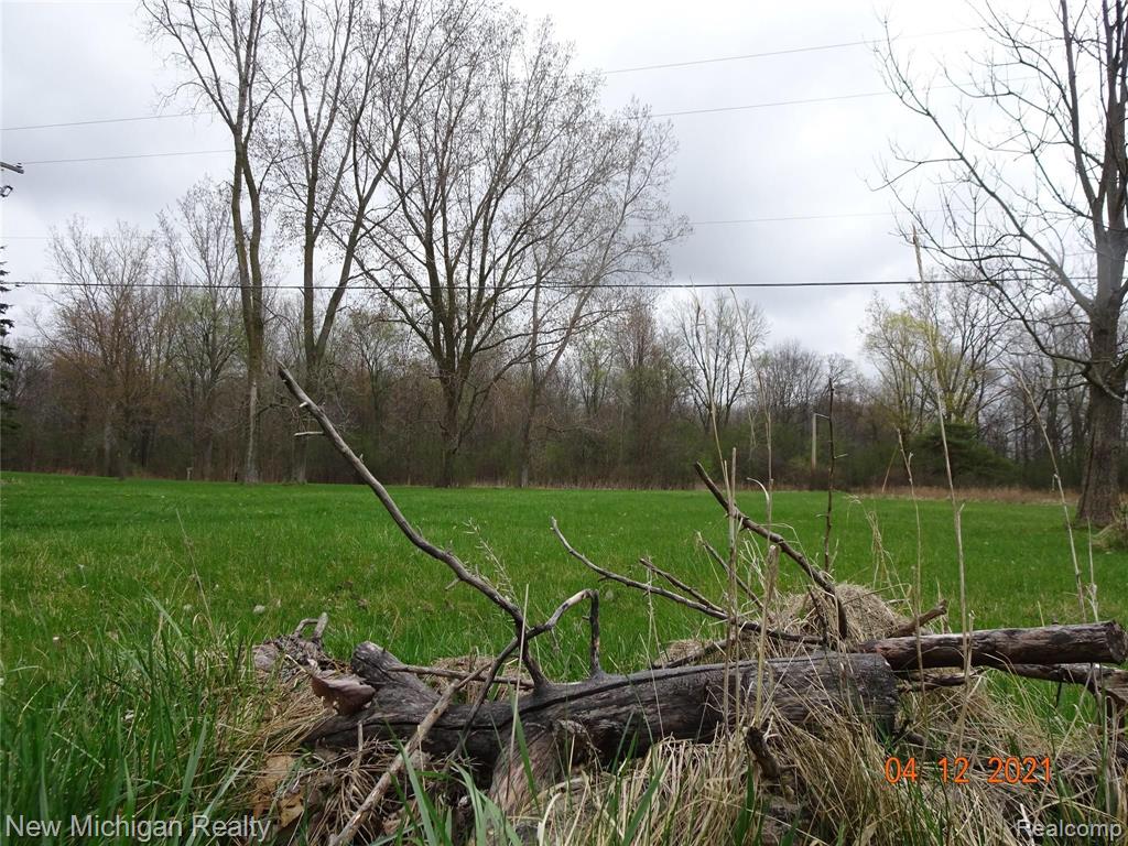 8166 Elms Road Flushing, MI 48433 - Photo 14 of 15