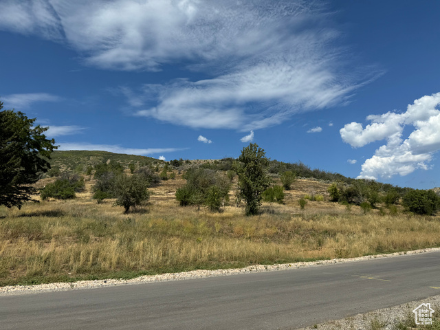 944 West Wards Lane, Unit 3 Midway, UT 84049 - Photo 51 of 59 View of road