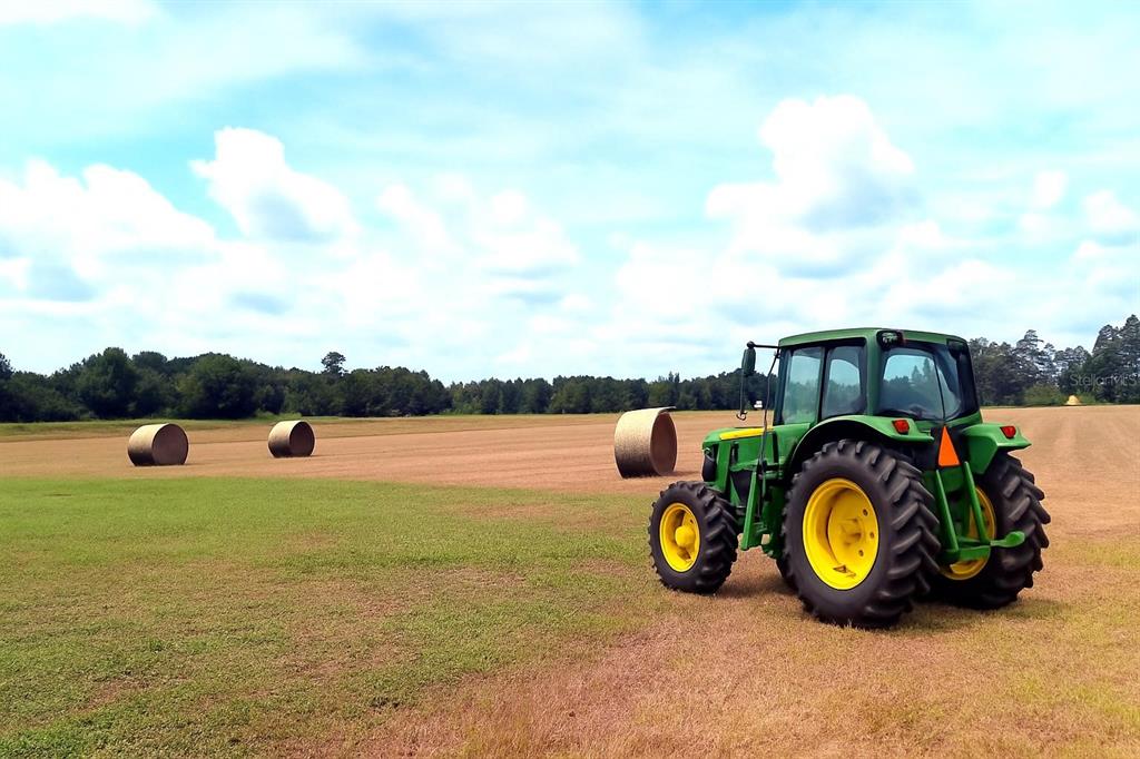 13832 South Bay Lake Road Groveland, FL 34736 - Photo 50 of 55 a view of swimming pool with a table and chairs