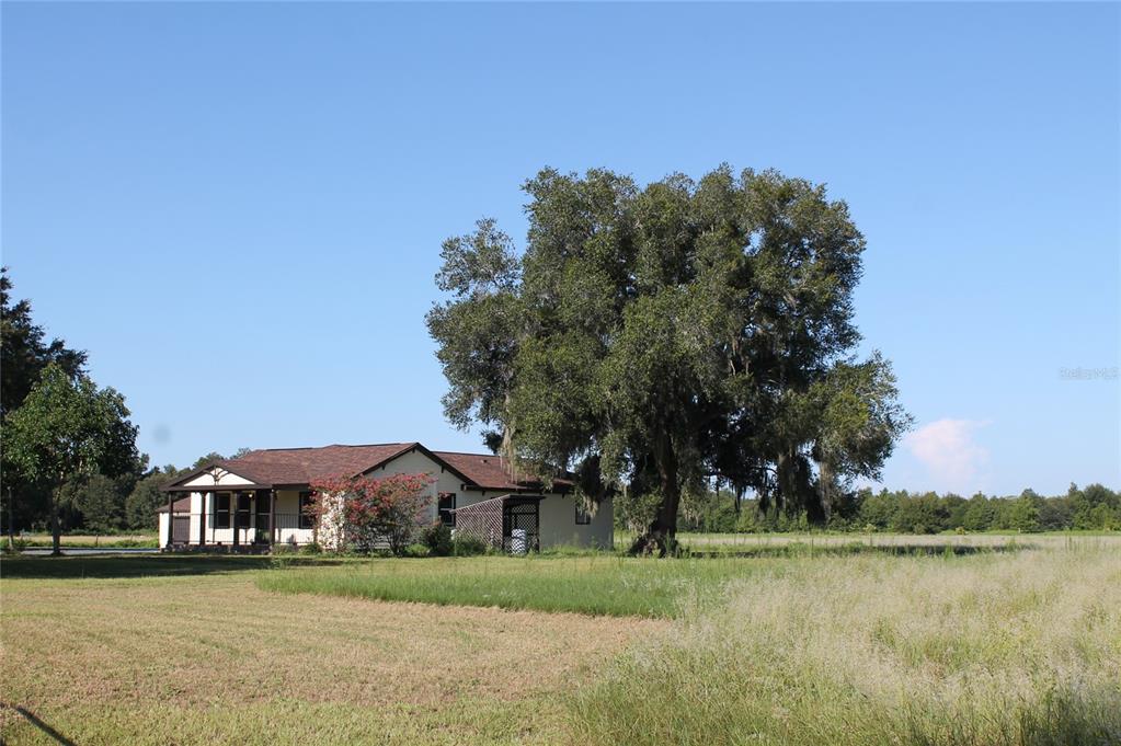 13832 South Bay Lake Road Groveland, FL 34736 - Photo 52 of 55 a front view of a house with a yard and large trees