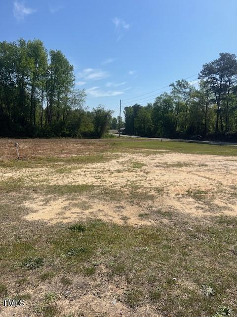 4400 Newton Grove Highway Newton Grove, NC 28366 - Photo 11 of 11 a view of a lake view