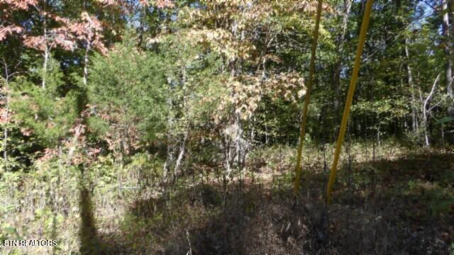 Lot 2 Inland Court Sparta, TN 38583 - Photo 17 of 37 100_0062