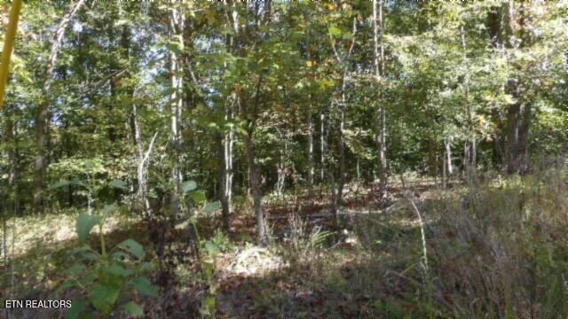 Lot 2 Inland Court Sparta, TN 38583 - Photo 18 of 37 100_0063