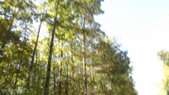 Lot 2 Inland Court Sparta, TN 38583 - Photo 32 of 37 100_0078