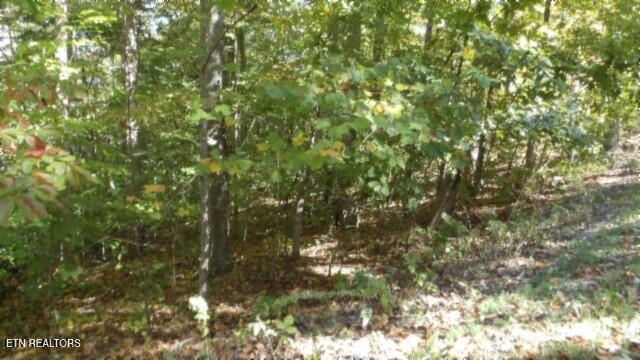 Lot 2 Inland Court Sparta, TN 38583 - Photo 8 of 37 100_0053