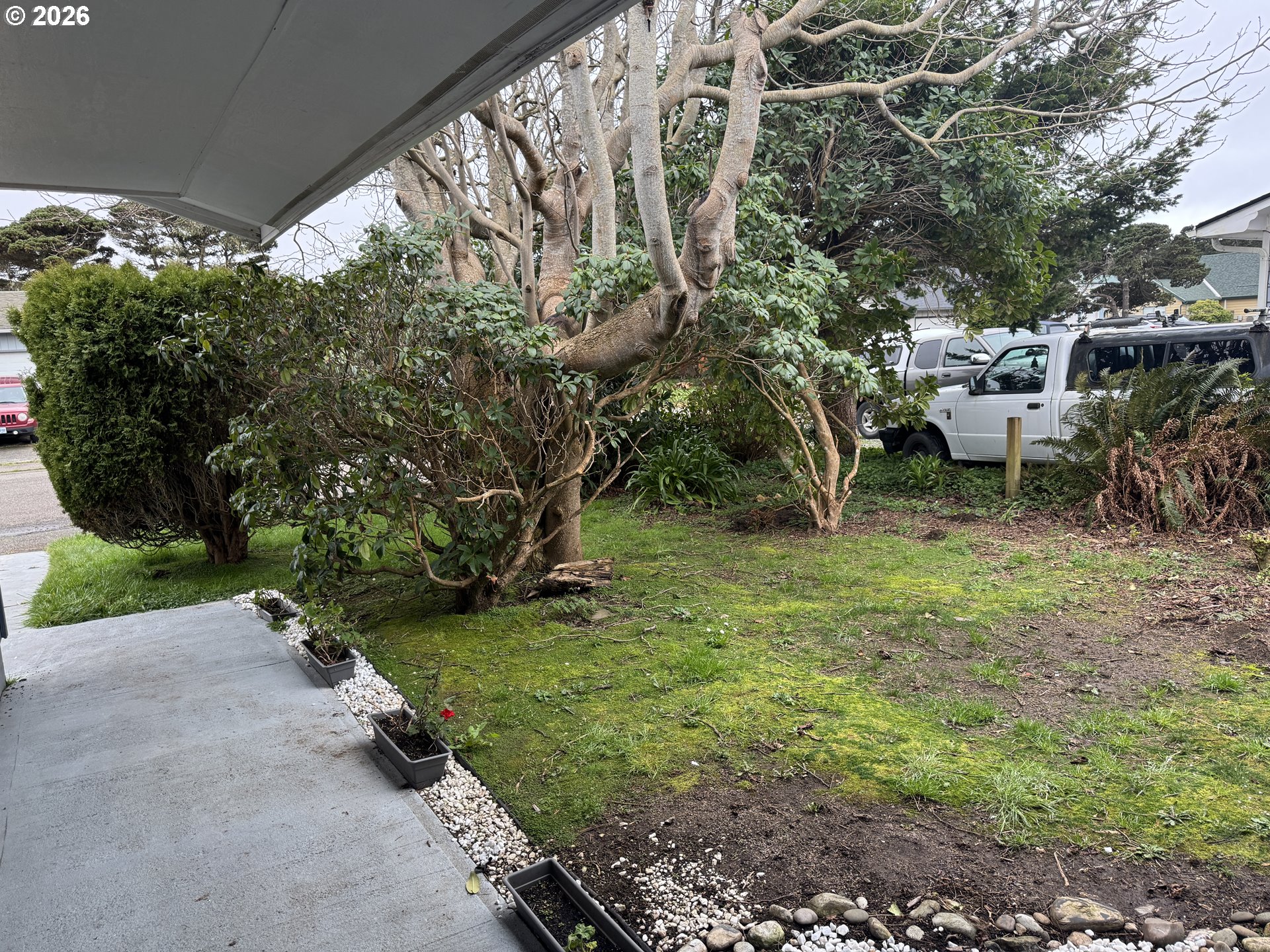 870 12th Street Southwest Bandon, OR 97411 - Photo 2 of 25 a view of a park with large trees