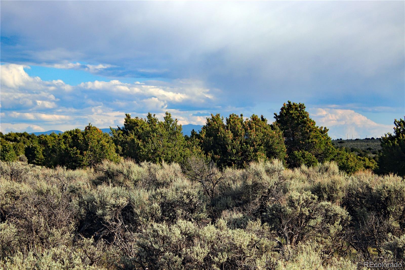 5 North Canyon Road San Luis, CO 81152 - Photo 13 of 25 a view of a bunch of trees in a field
