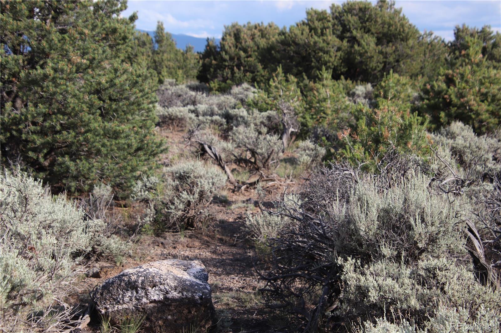 5 North Canyon Road San Luis, CO 81152 - Photo 14 of 25 a view of a forest with a houses