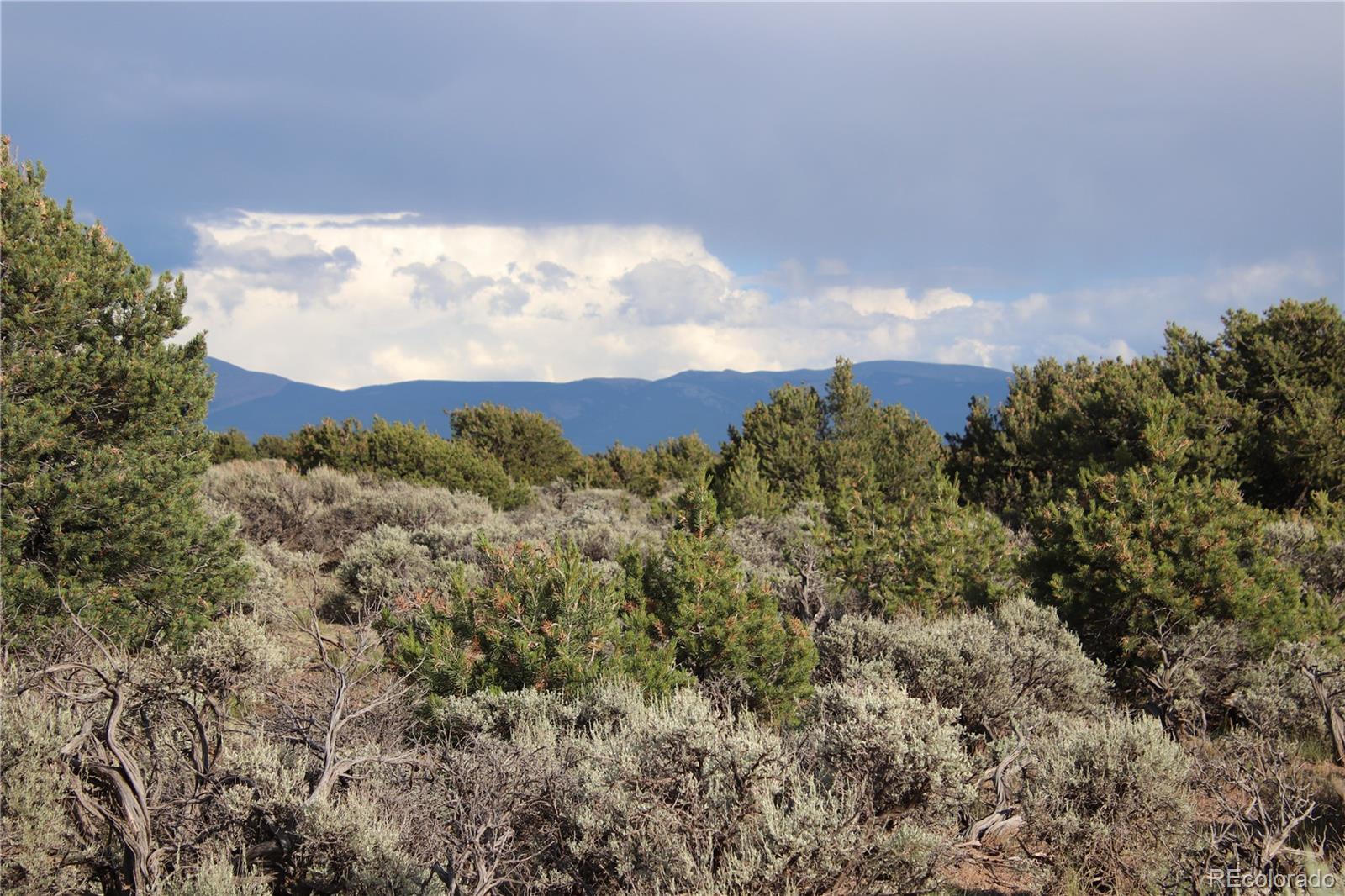 5 North Canyon Road San Luis, CO 81152 - Photo 18 of 25 a view of a bunch of trees in a field