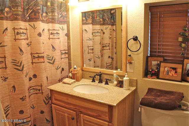 1995 Broken Arrow Road Overgaard, AZ 85933 - Photo 19 of 34 Basement Bath