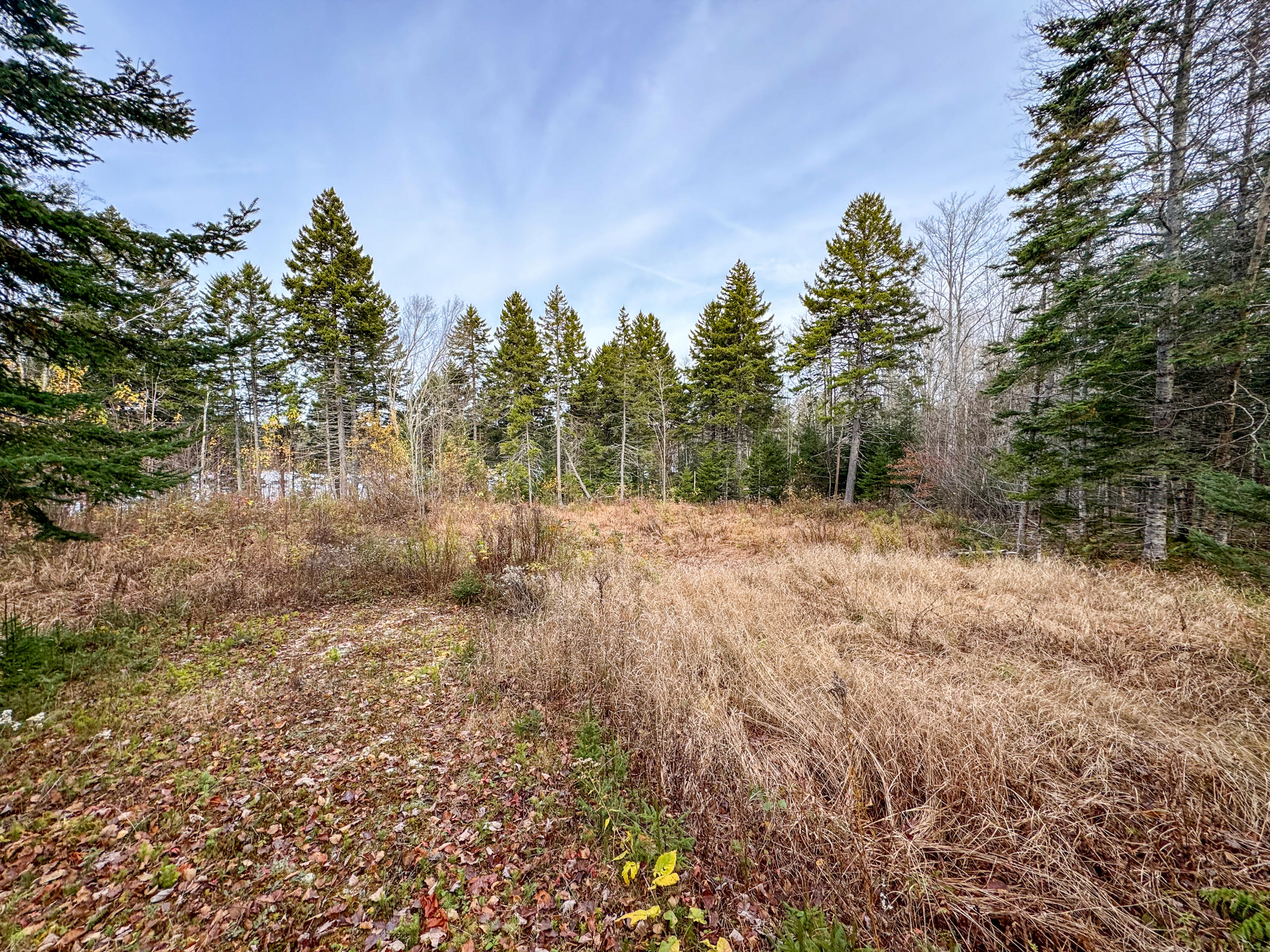 Lot 8 Sunset Way Whiting, ME 04691 - Photo 3 of 14 LOT 8 SUNSET-30